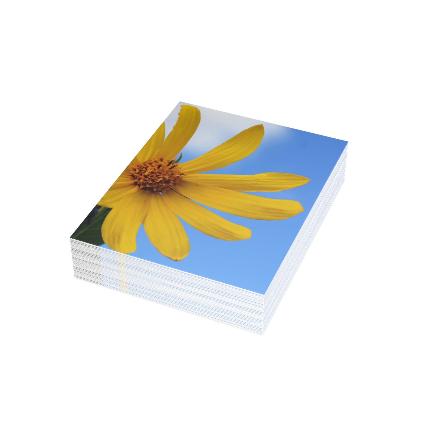 Flowers 32 Greeting Cards (1, 10, 30, and 50pcs)
