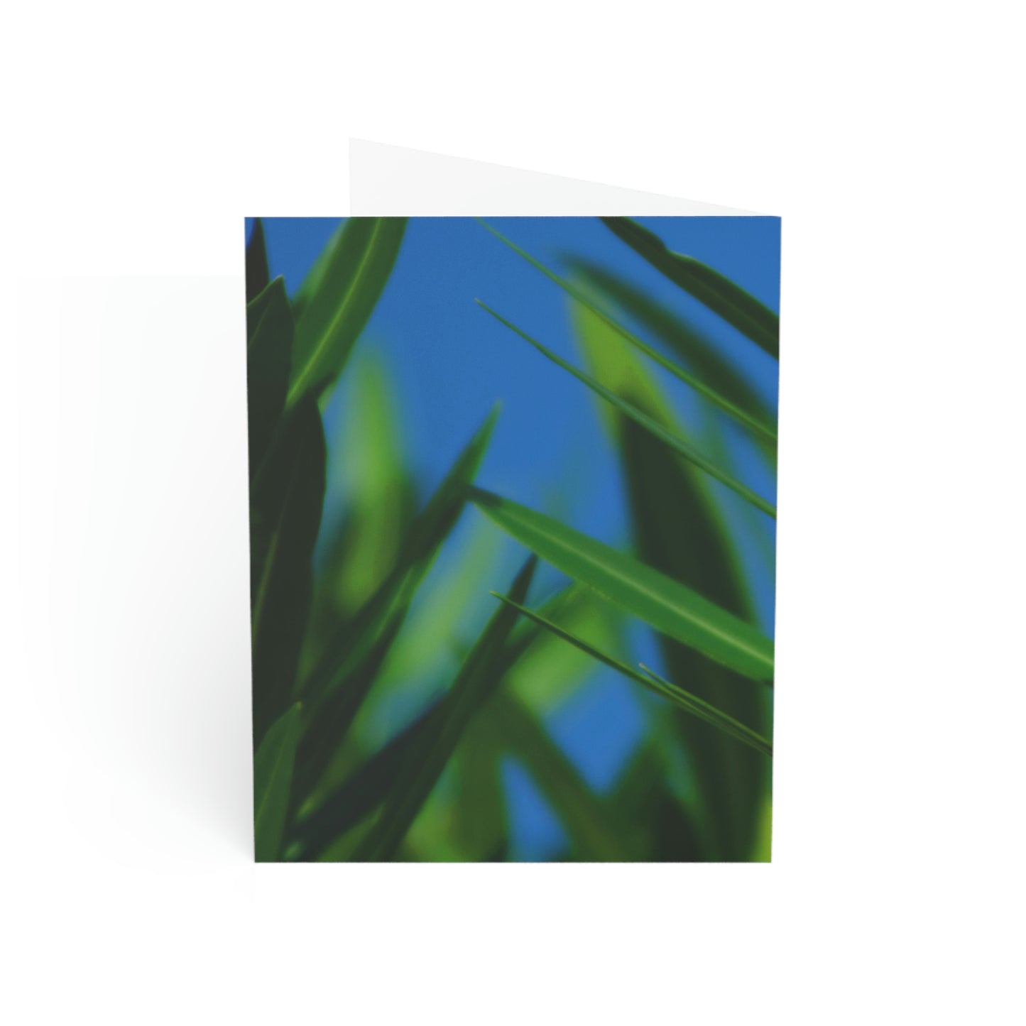 Flowers 30 Greeting Cards (1, 10, 30, and 50pcs)