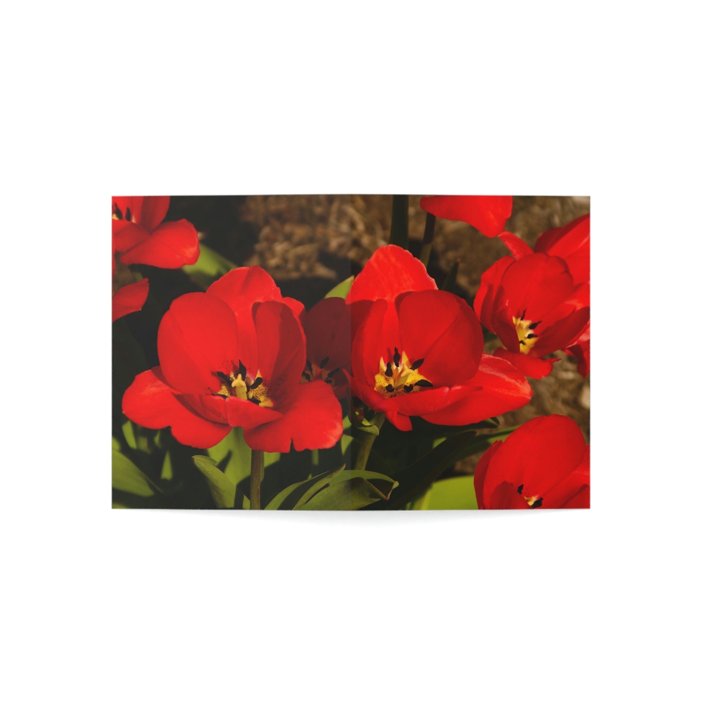 Flowers 05 Greeting Cards (1, 10, 30, and 50pcs)