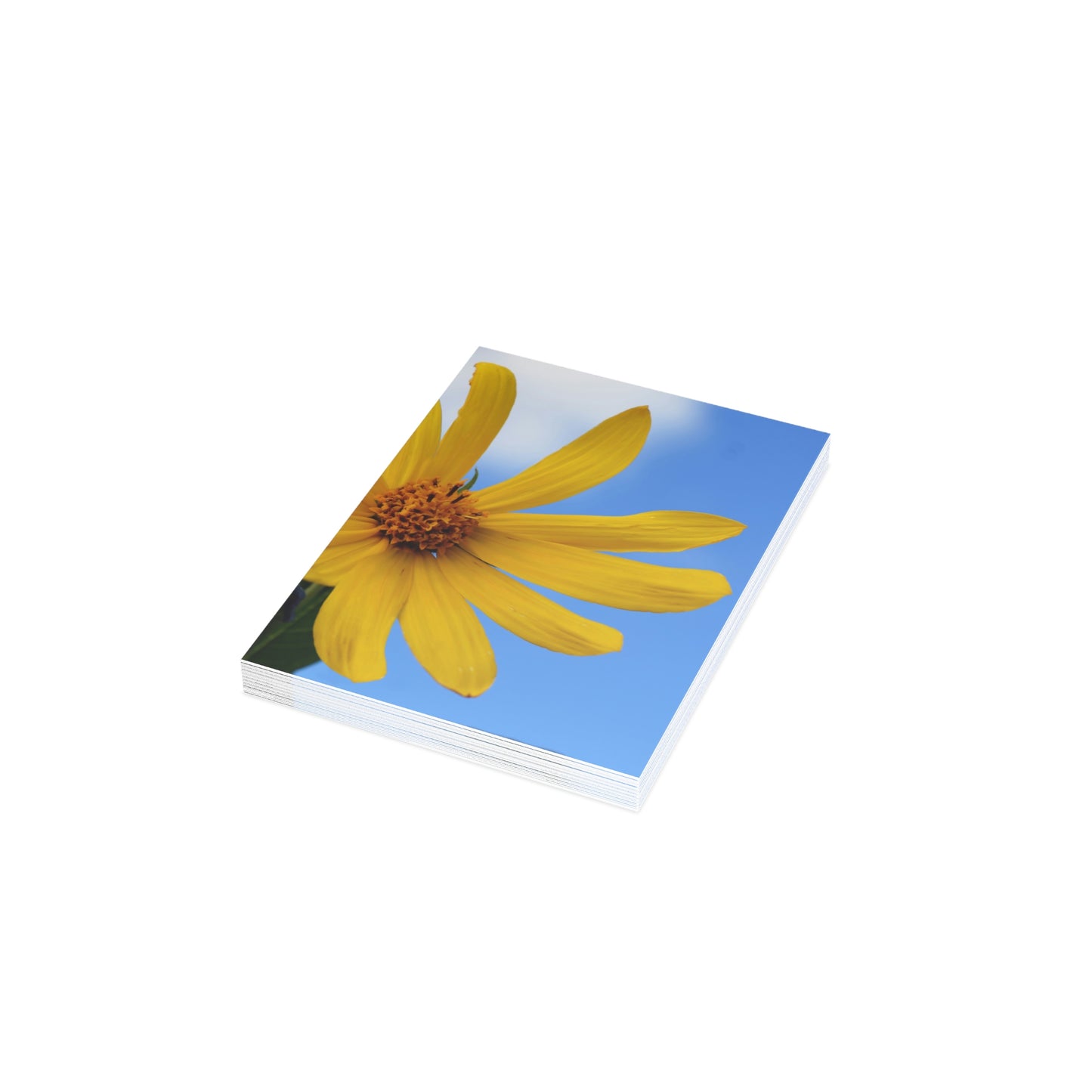 Flowers 32 Greeting Cards (1, 10, 30, and 50pcs)