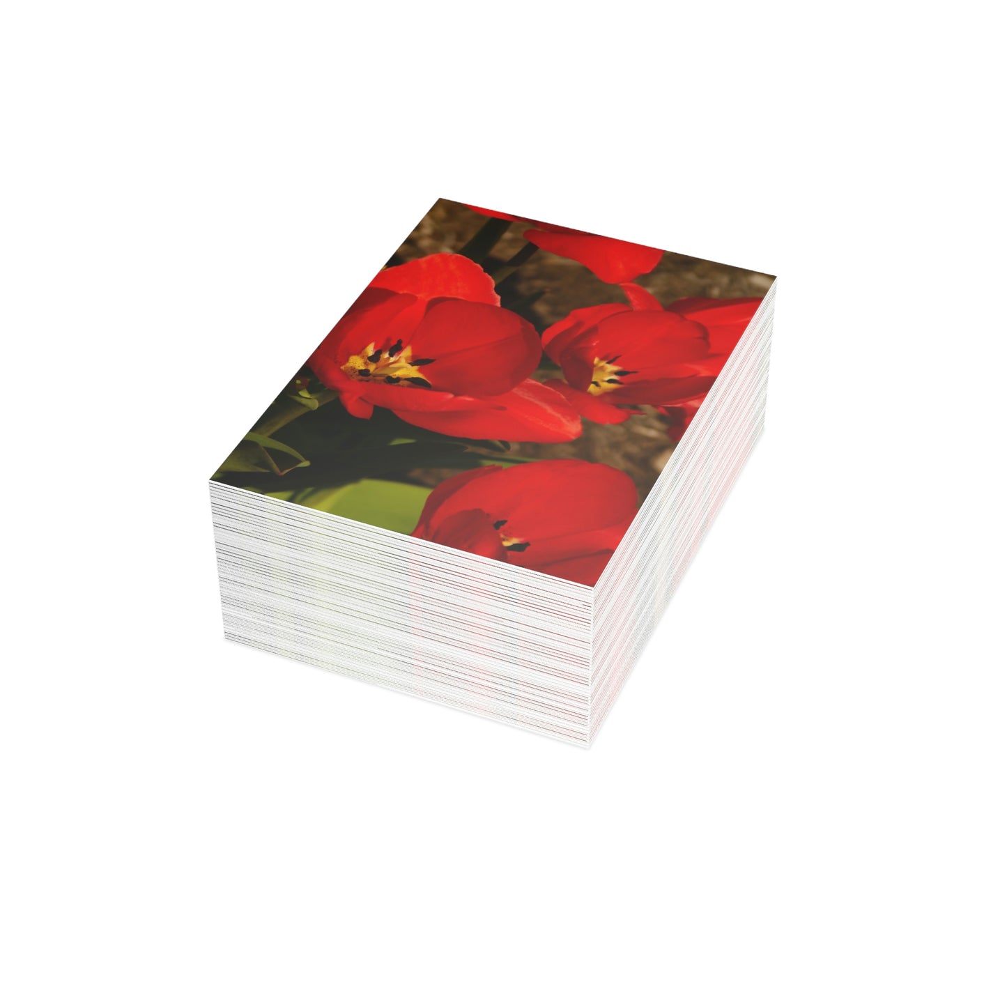 Flowers 05 Greeting Cards (1, 10, 30, and 50pcs)