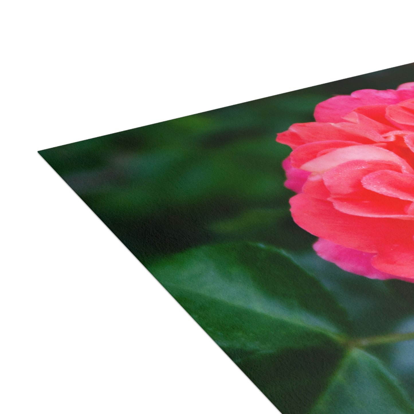 Flowers 06 Greeting Cards (1, 10, 30, and 50pcs)