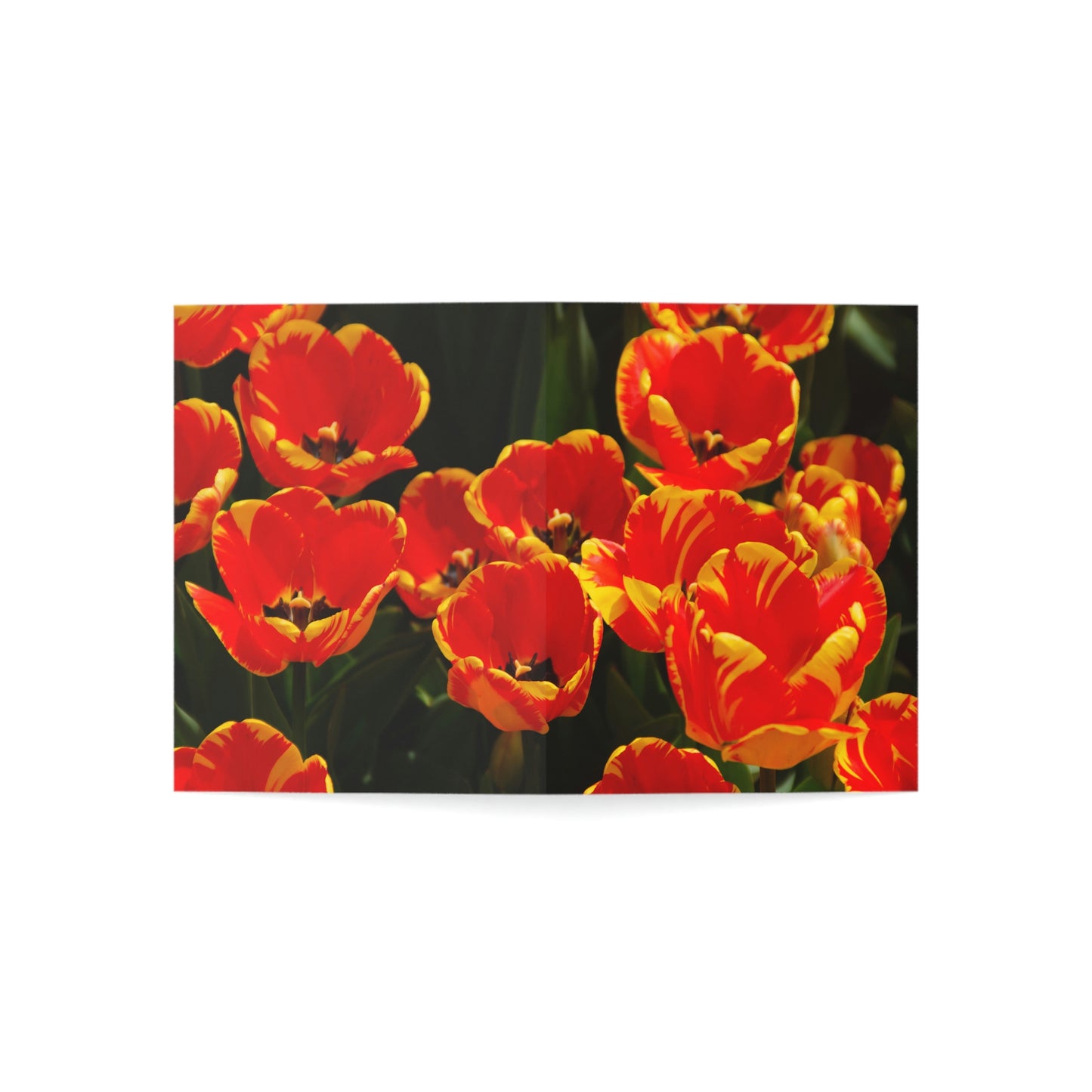 Flowers 19 Greeting Cards (1, 10, 30, and 50pcs)
