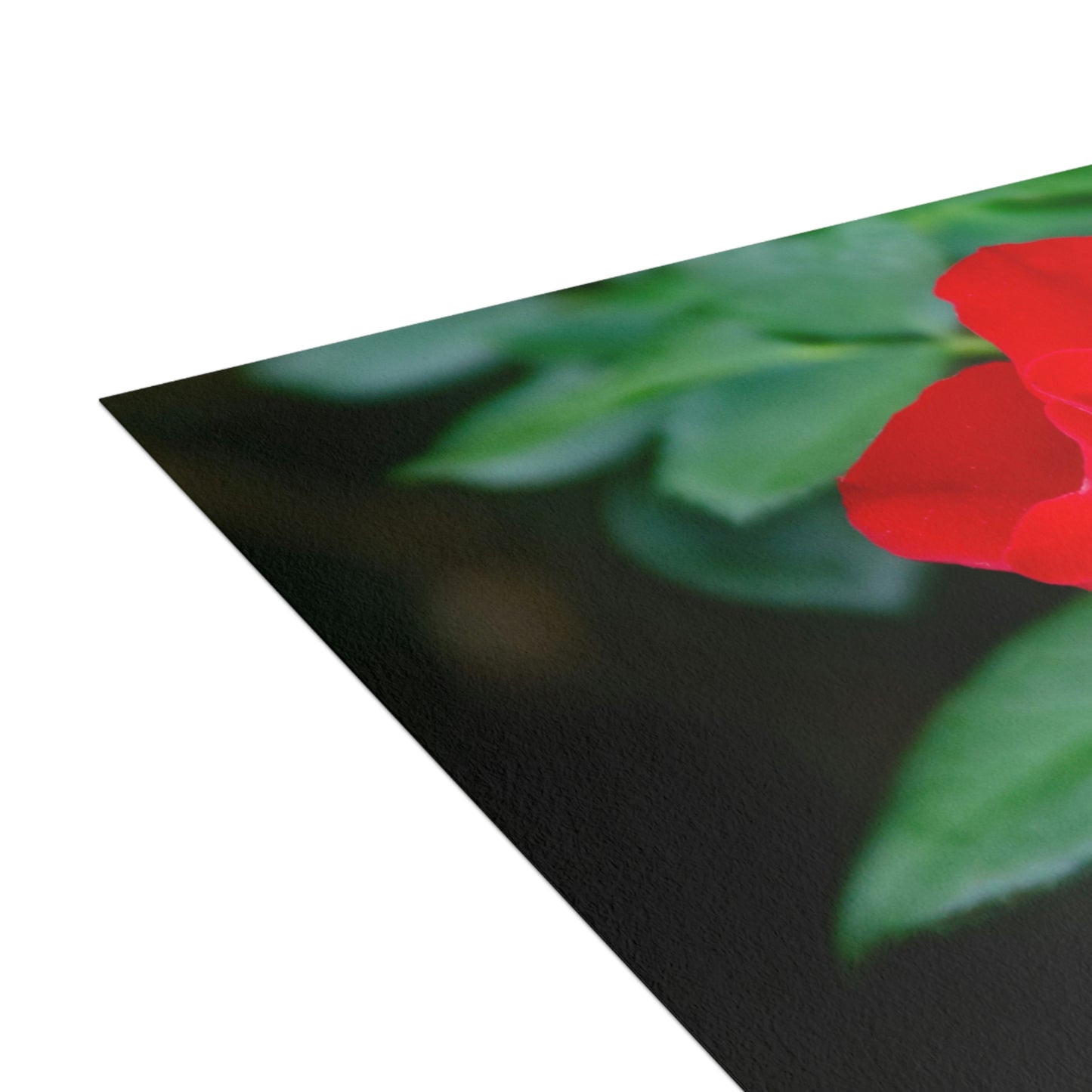 Flowers 11 Greeting Cards (1, 10, 30, and 50pcs)