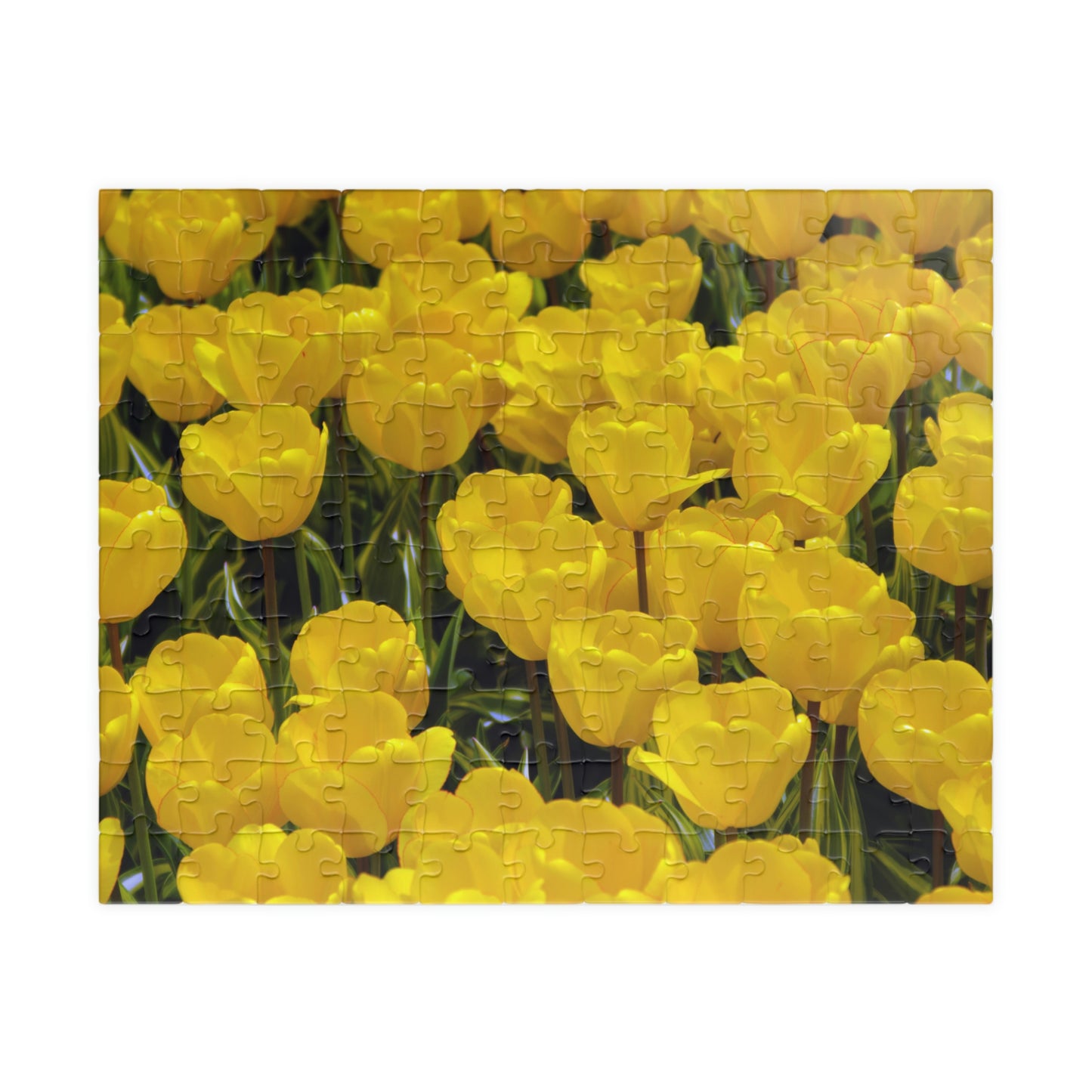 Flowers 23 Puzzle (110, 252, 500, 1014-piece)