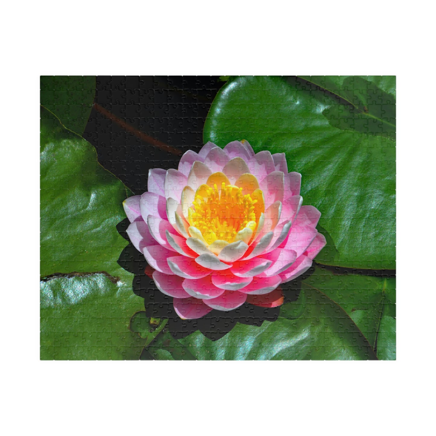 Flowers 25 Puzzle (110, 252, 500, 1014-piece)