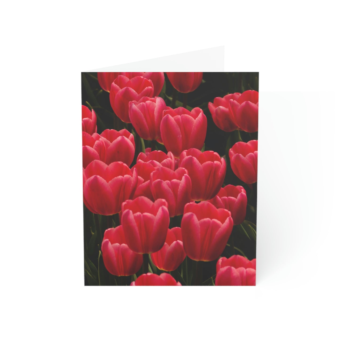 Flowers 24 Greeting Cards (1, 10, 30, and 50pcs)