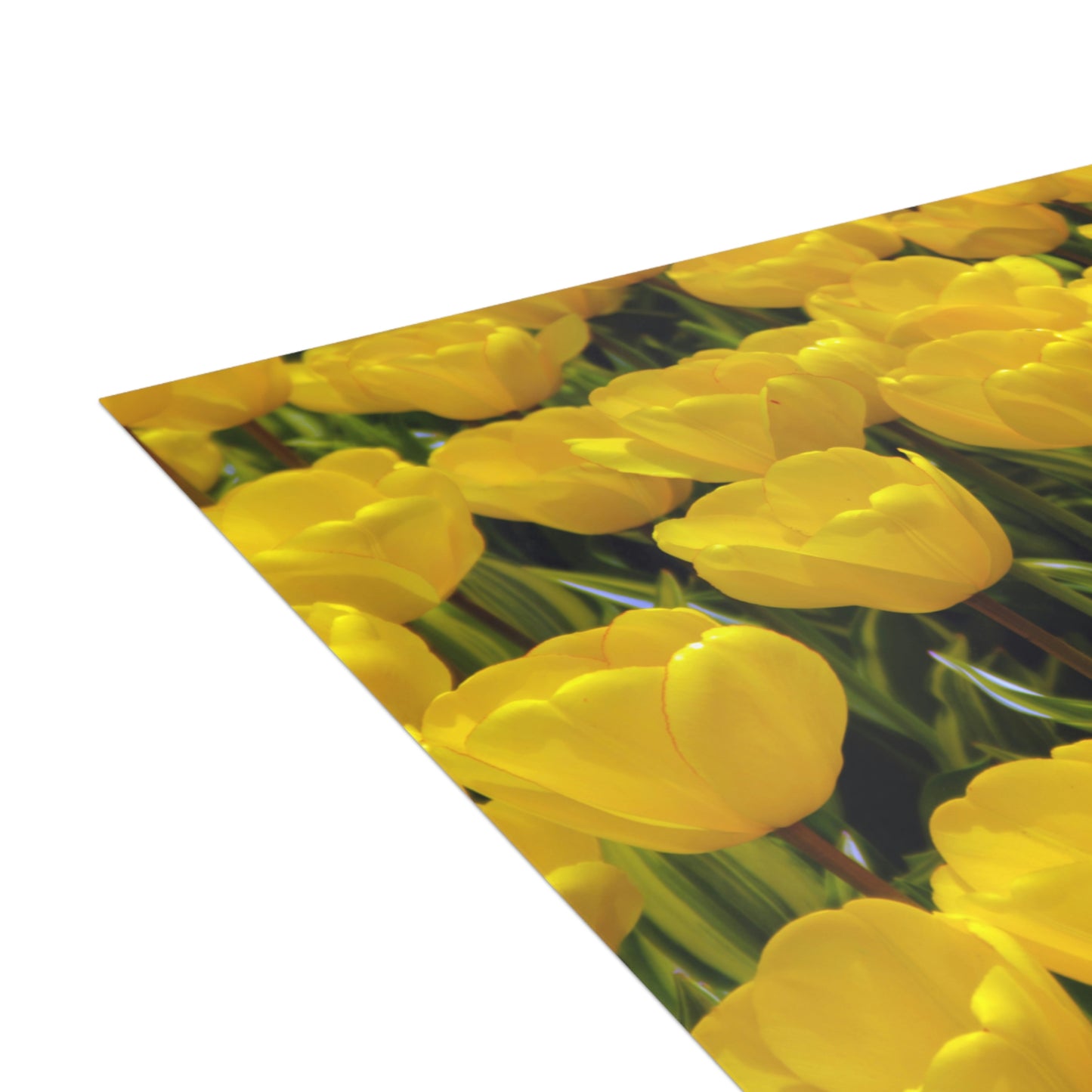 Flowers 23 Greeting Cards (1, 10, 30, and 50pcs)