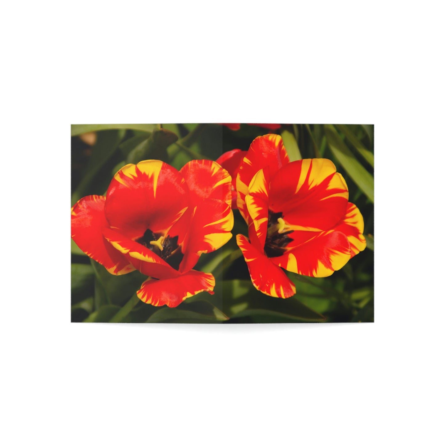 Flowers 09 Greeting Cards (1, 10, 30, and 50pcs)