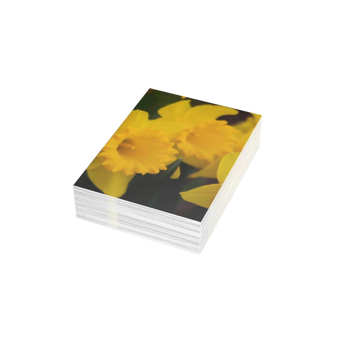 Flowers 08 Greeting Cards (1, 10, 30, and 50pcs)