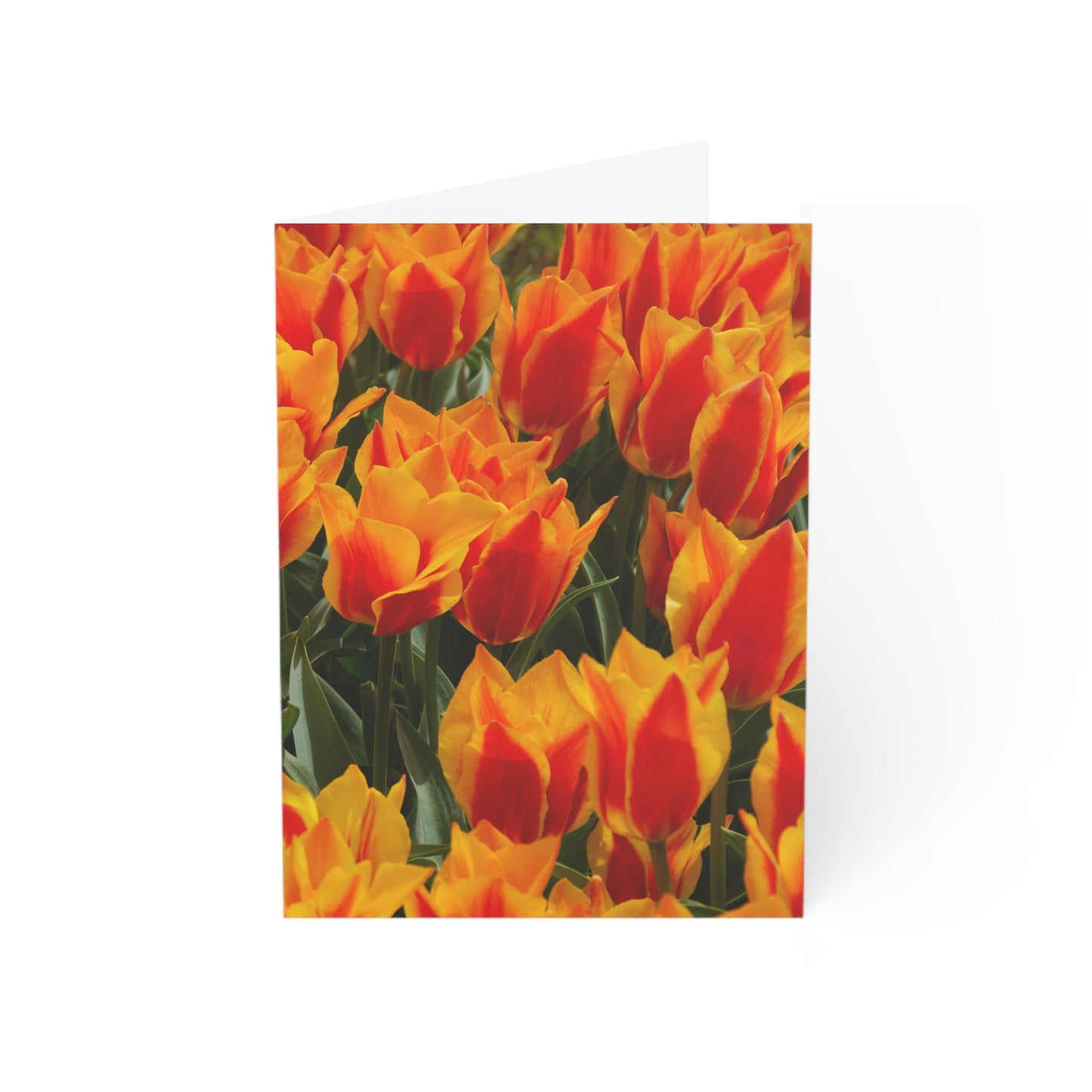Flowers 18 Greeting Cards (1, 10, 30, and 50pcs)