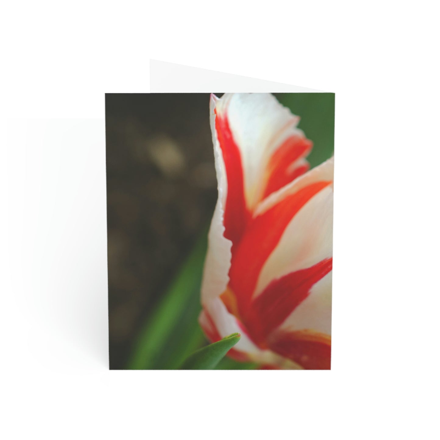 Flowers 12 Greeting Cards (1, 10, 30, and 50pcs)