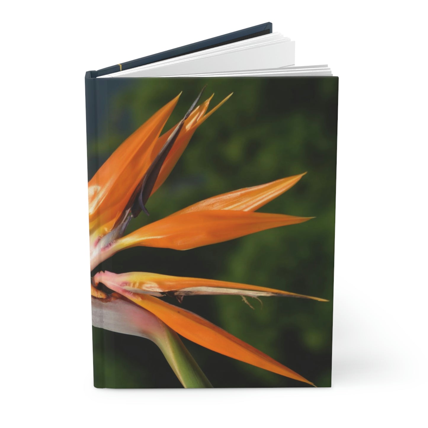 Flowers 25 Hardcover Journal Matte