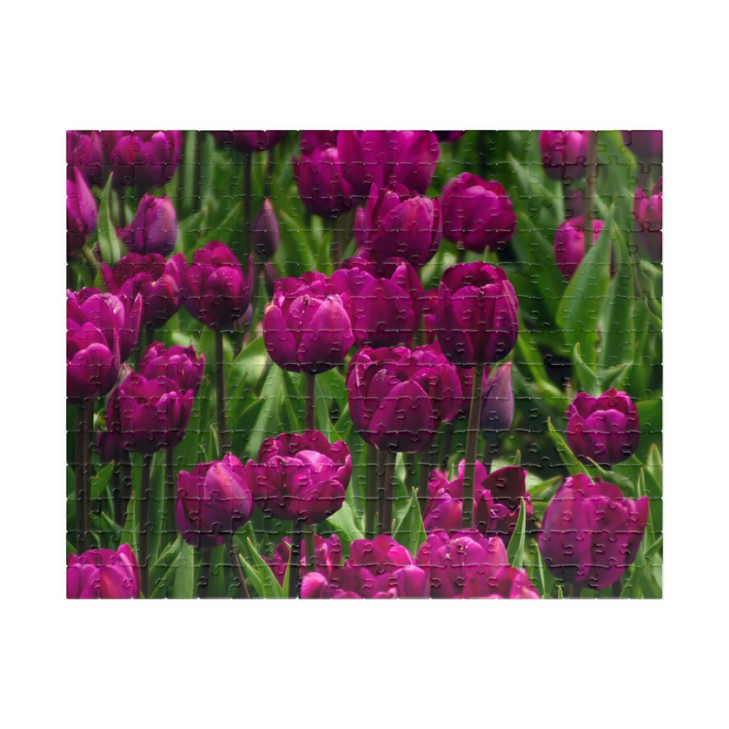 Flowers 19 Puzzle (110, 252, 500, 1014-piece)