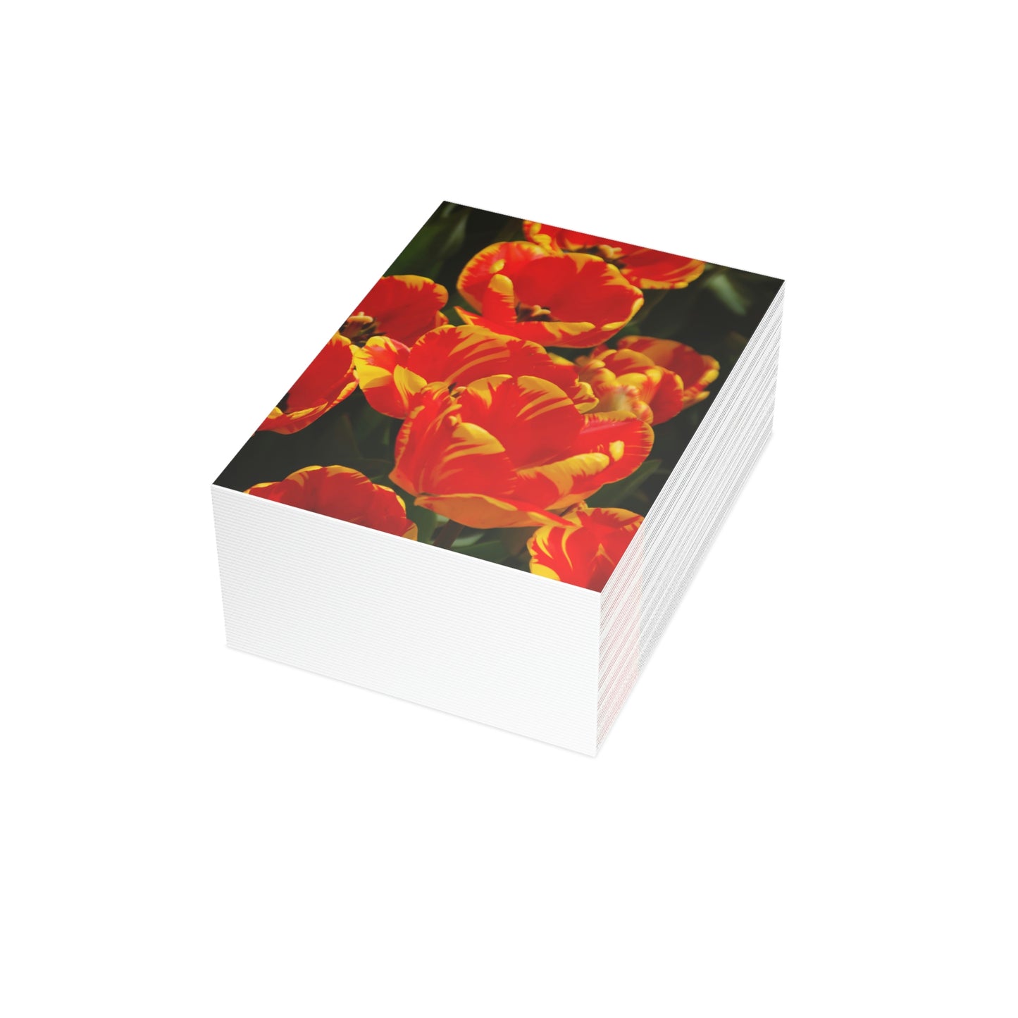 Flowers 19 Greeting Cards (1, 10, 30, and 50pcs)