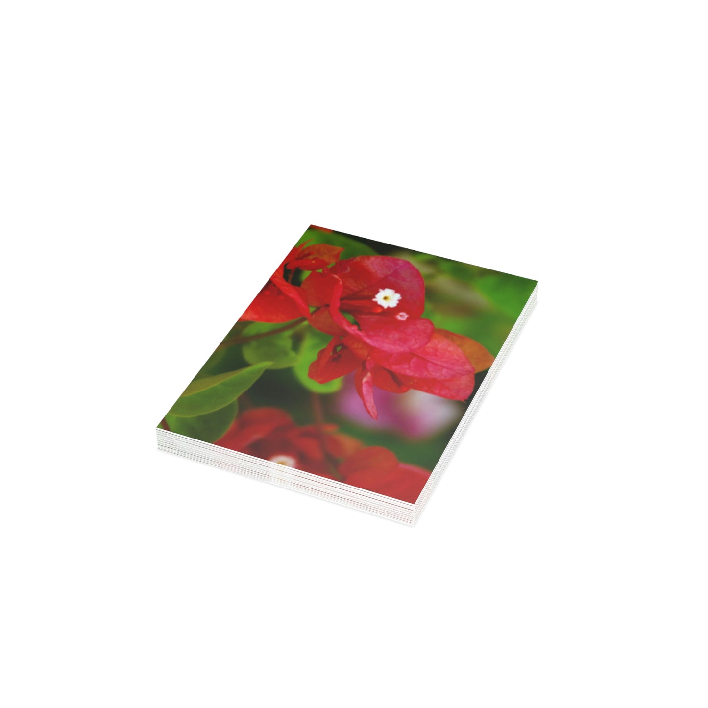 Flowers 28 Greeting Cards (1, 10, 30, and 50pcs)