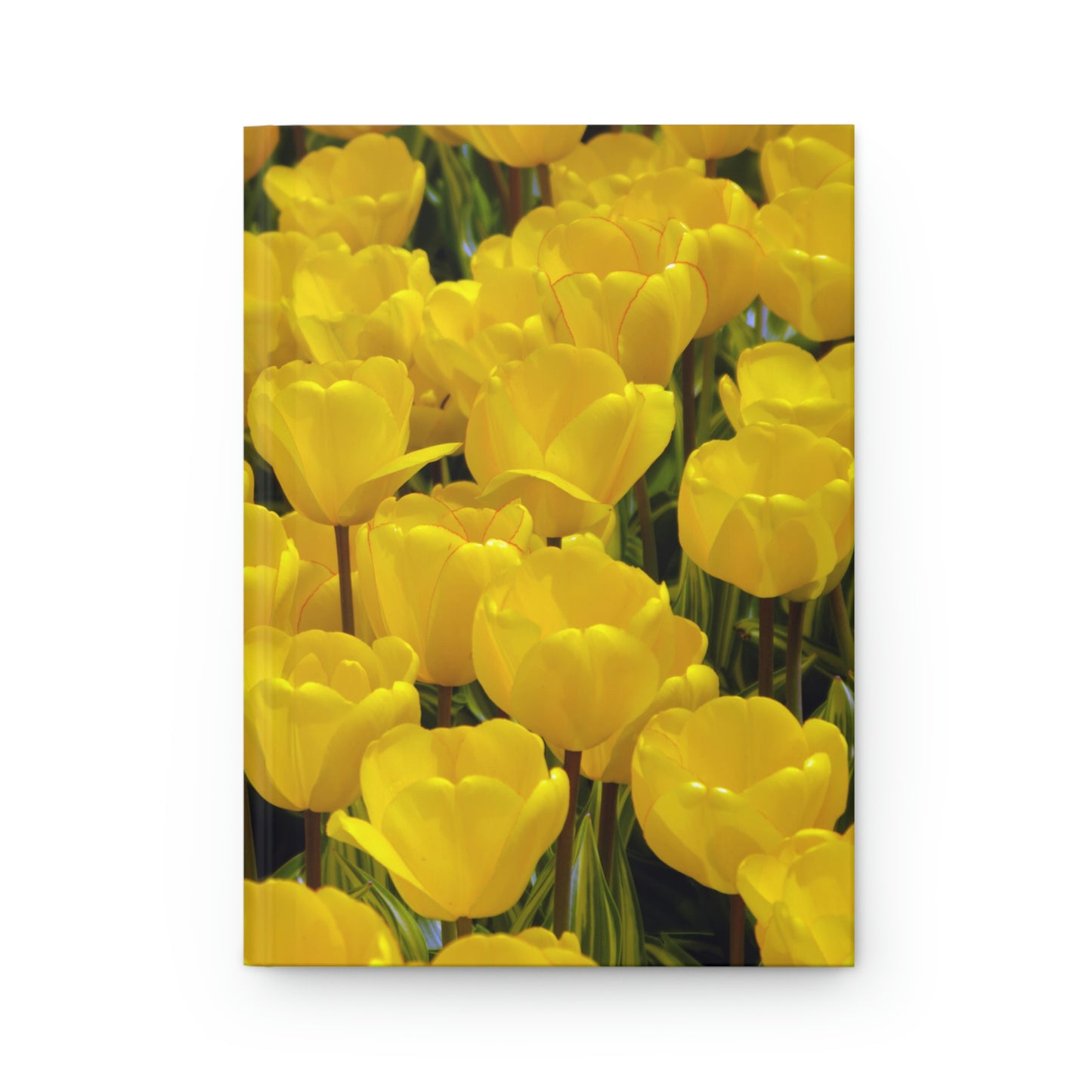 Flowers 23 Hardcover Journal Matte
