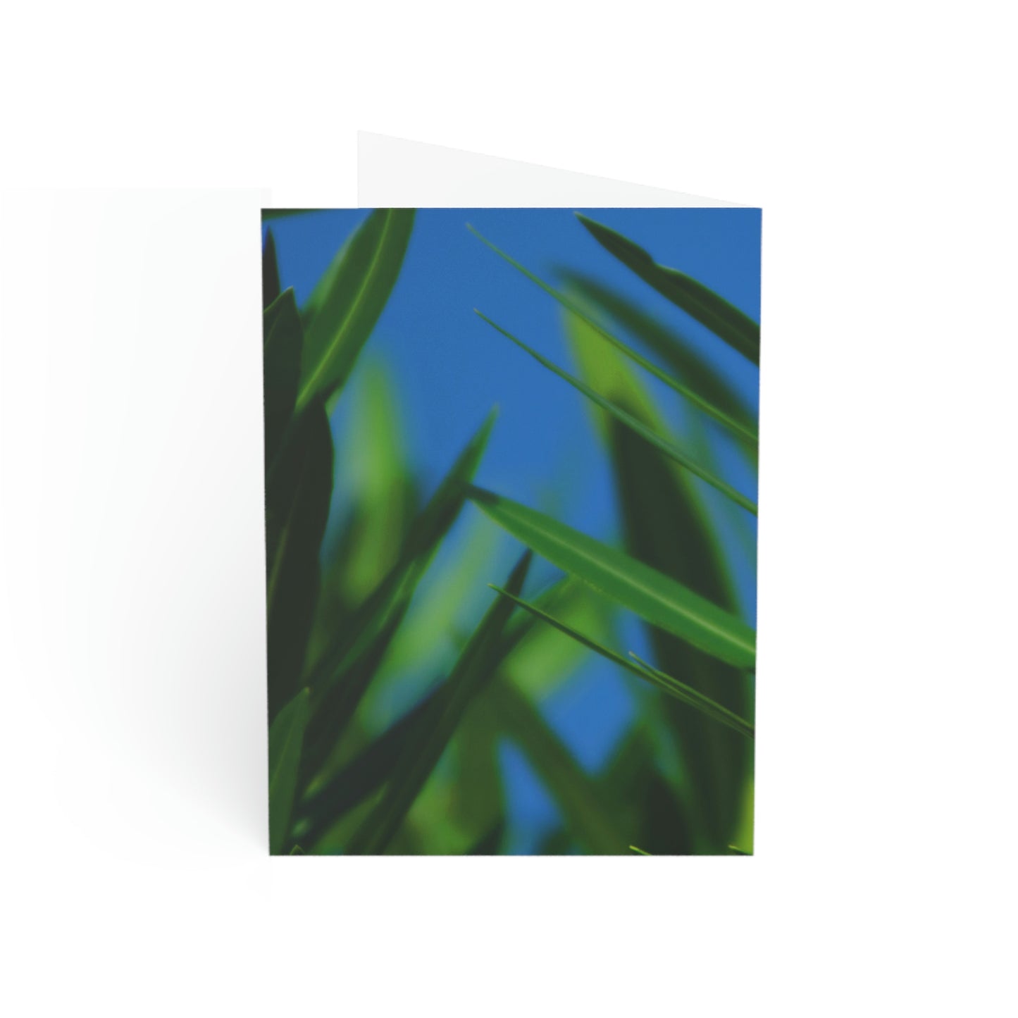 Flowers 30 Greeting Cards (1, 10, 30, and 50pcs)