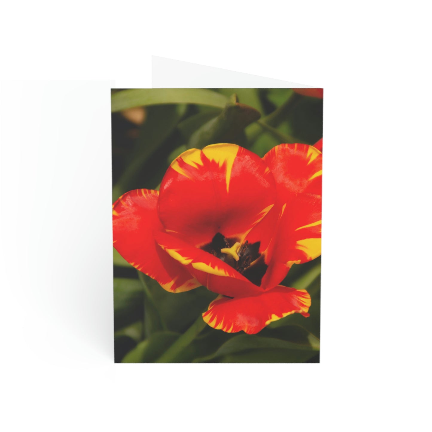Flowers 09 Greeting Cards (1, 10, 30, and 50pcs)