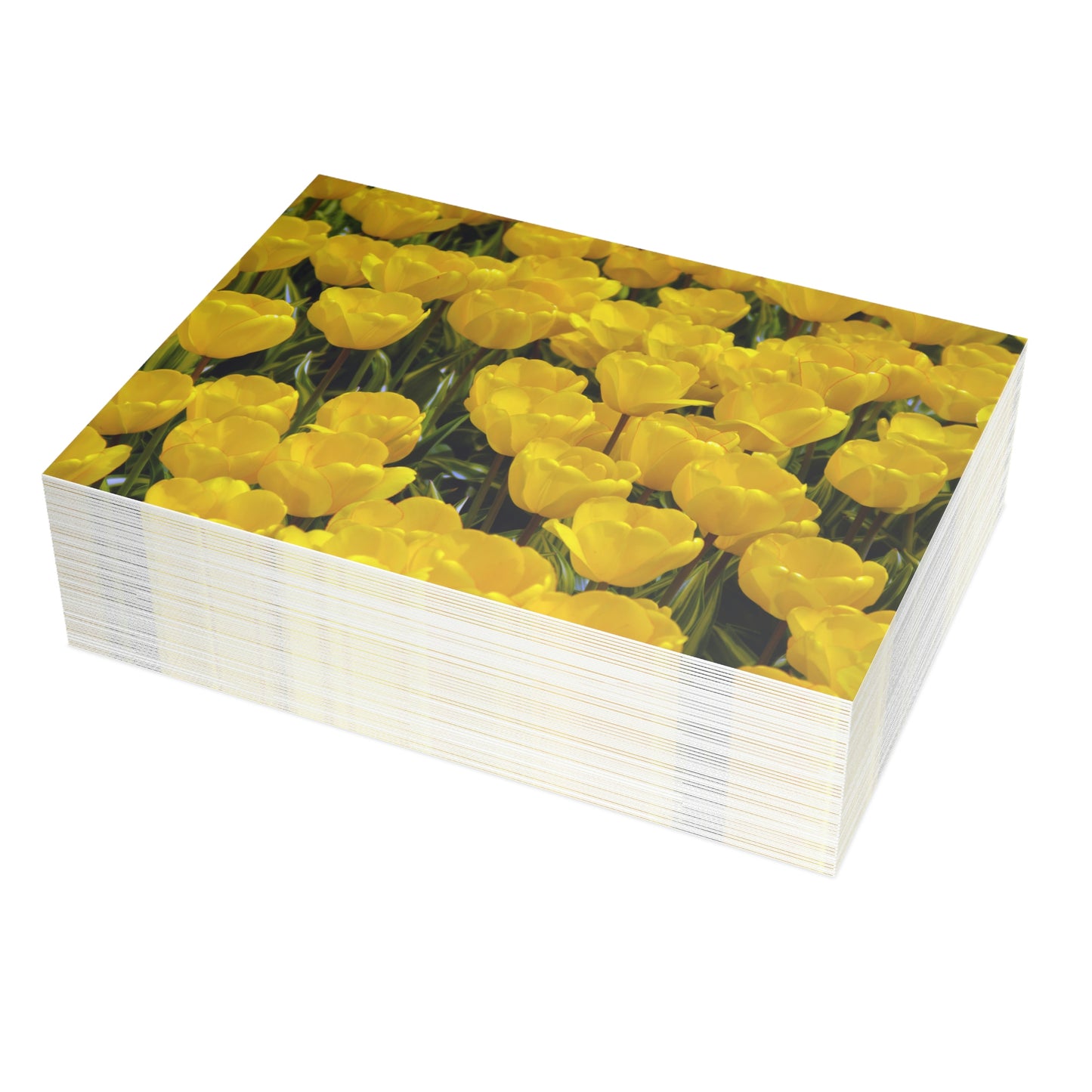 Flowers 24 Greeting Card Bundles (envelopes not included)