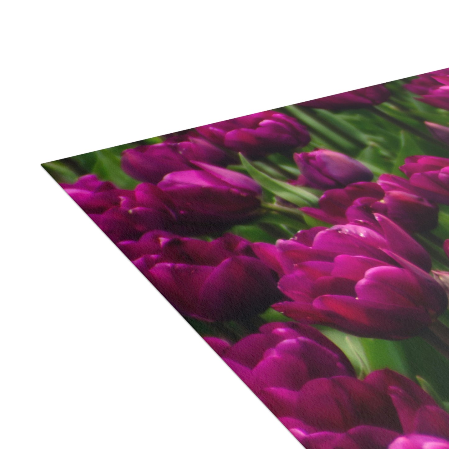 Flowers 20 Greeting Cards (1, 10, 30, and 50pcs)