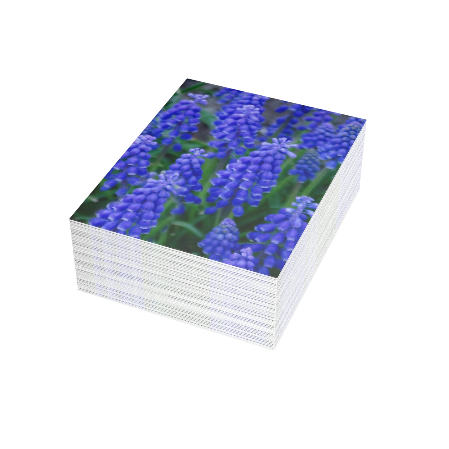 Flowers 10 Greeting Cards (1, 10, 30, and 50pcs)