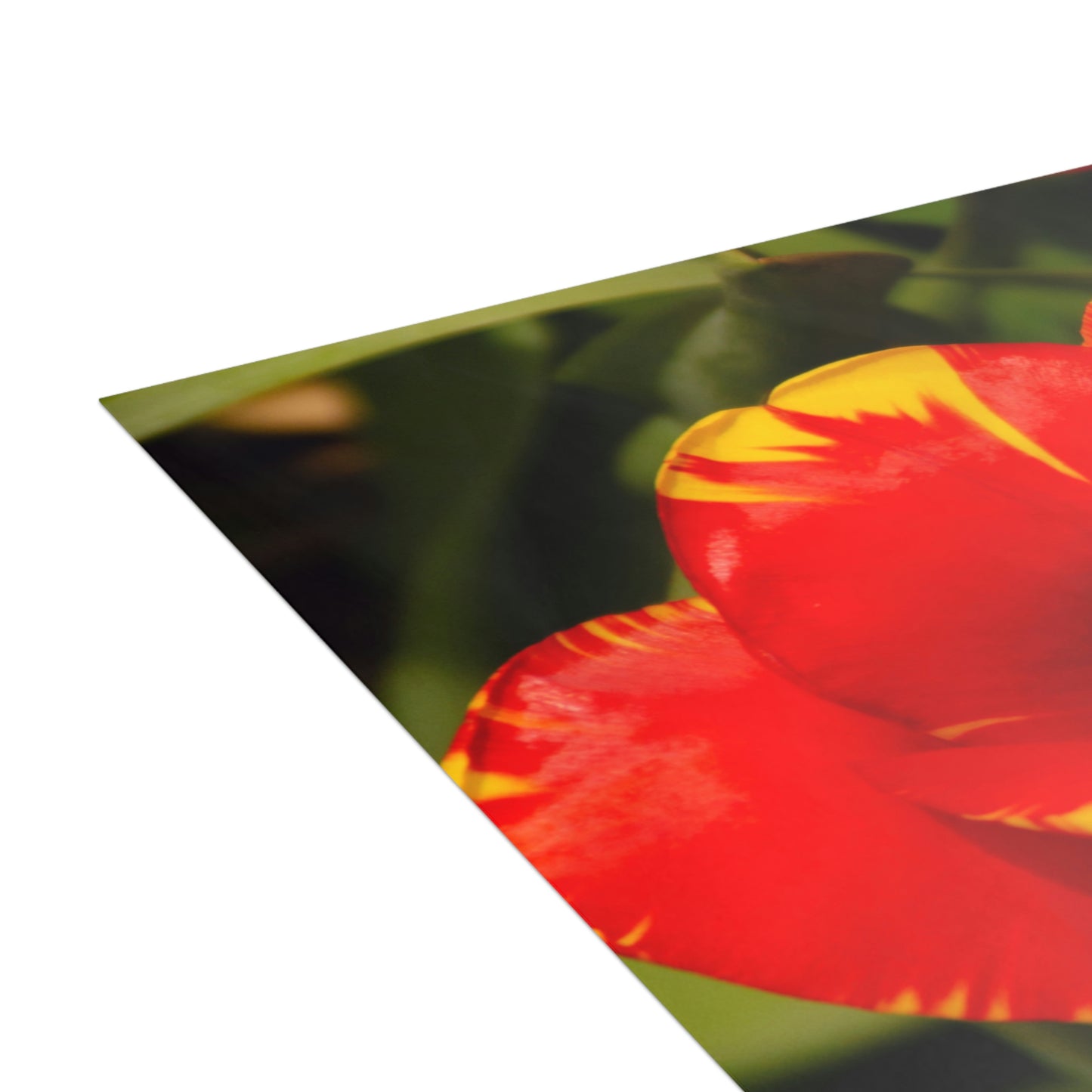 Flowers 09 Greeting Cards (1, 10, 30, and 50pcs)