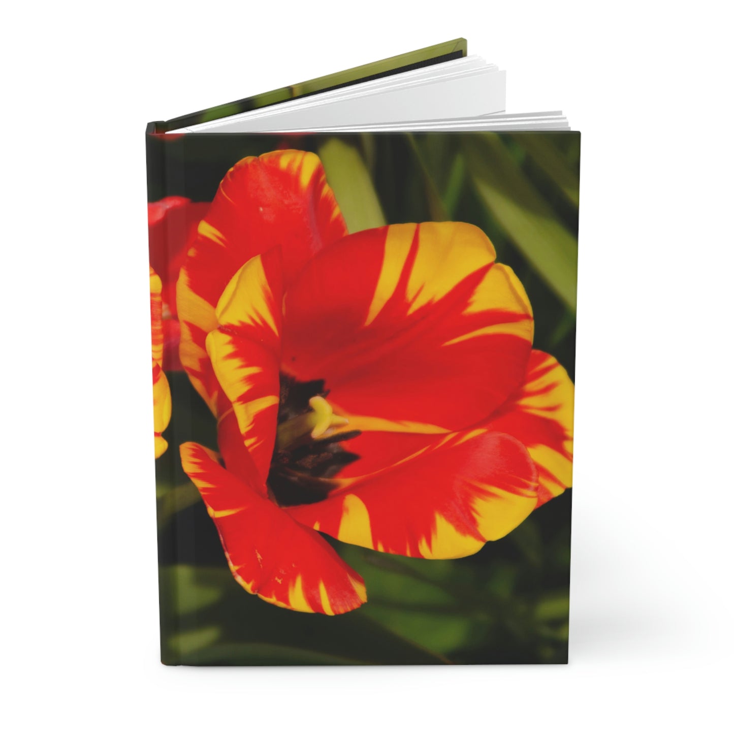 Flowers 12 Hardcover Journal Matte