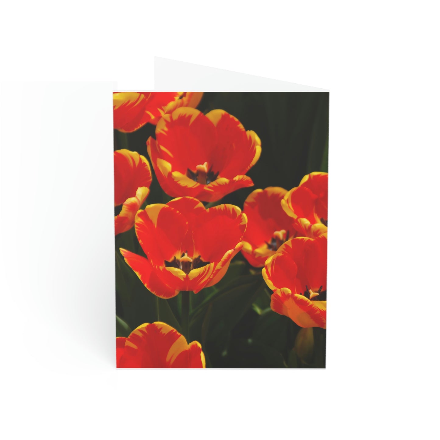 Flowers 19 Greeting Cards (1, 10, 30, and 50pcs)