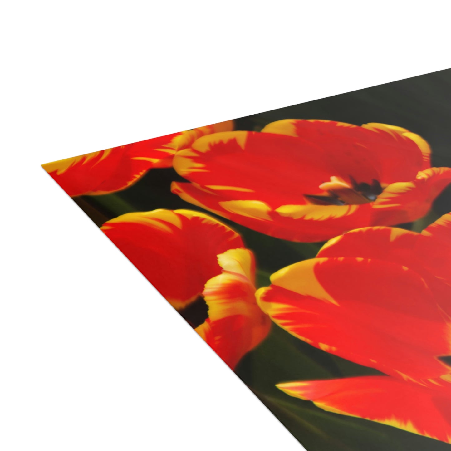 Flowers 19 Greeting Cards (1, 10, 30, and 50pcs)