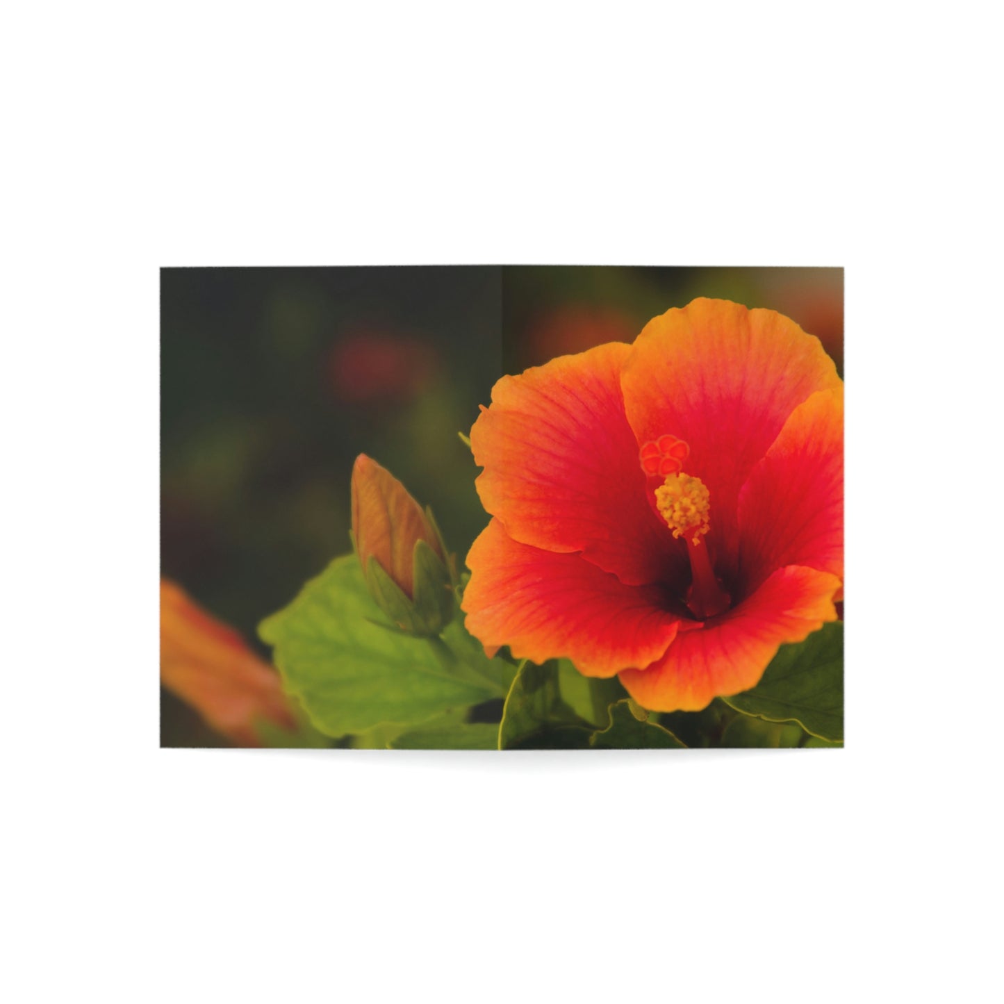 Flowers 31 Greeting Cards (1, 10, 30, and 50pcs)