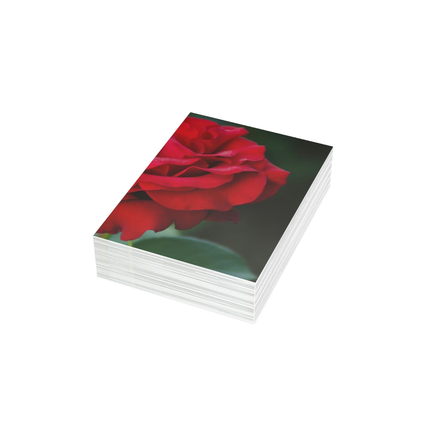 Flowers 13 Greeting Cards (1, 10, 30, and 50pcs)