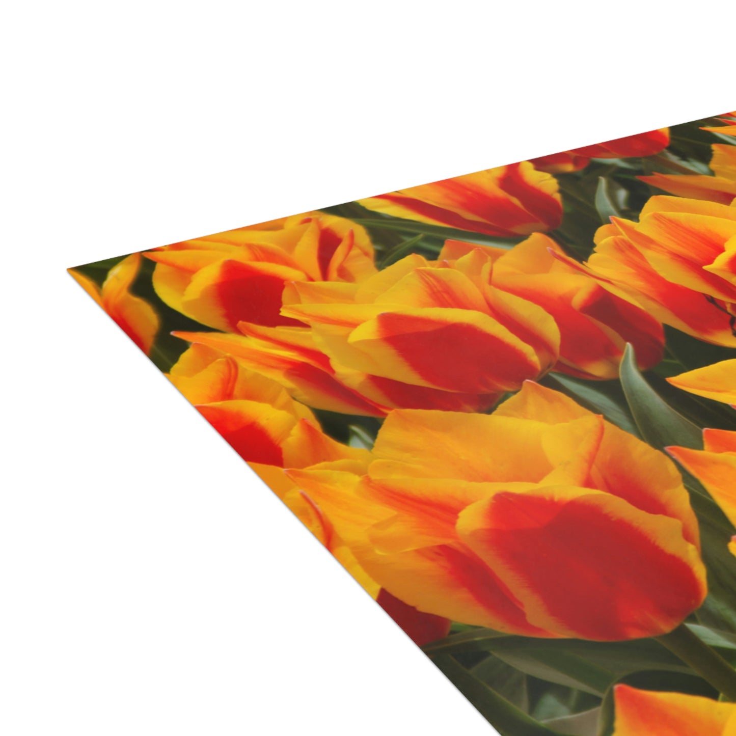Flowers 18 Greeting Cards (1, 10, 30, and 50pcs)