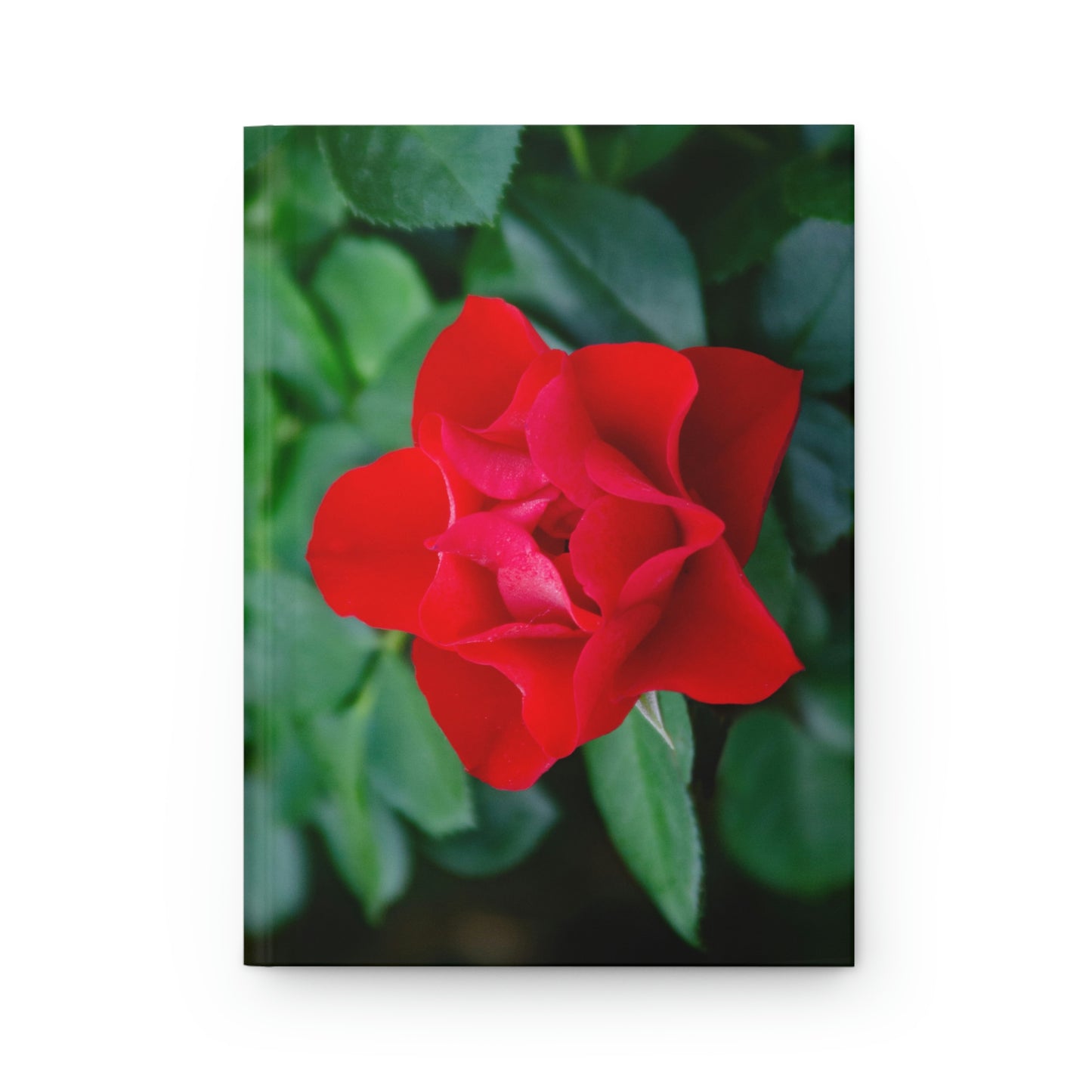 Flowers 13 Hardcover Journal Matte
