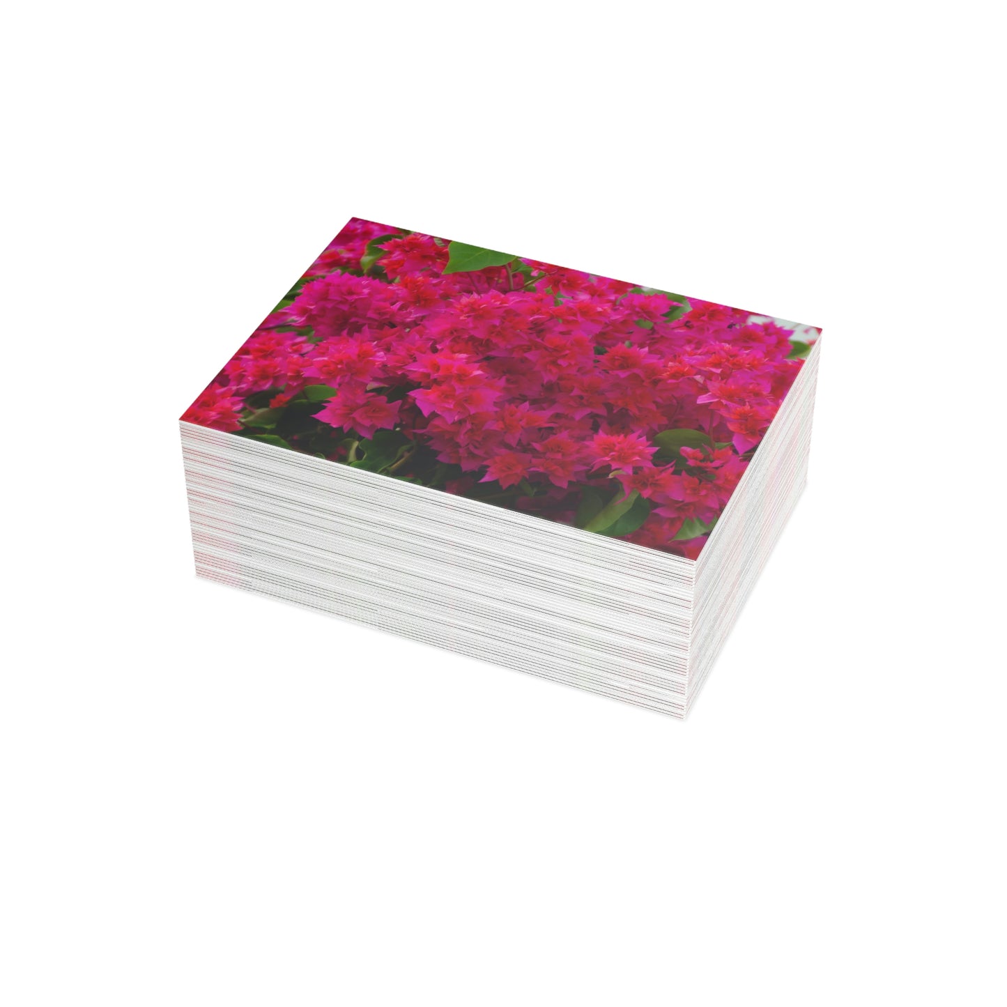 Flowers 28 Greeting Card Bundles (envelopes not included)