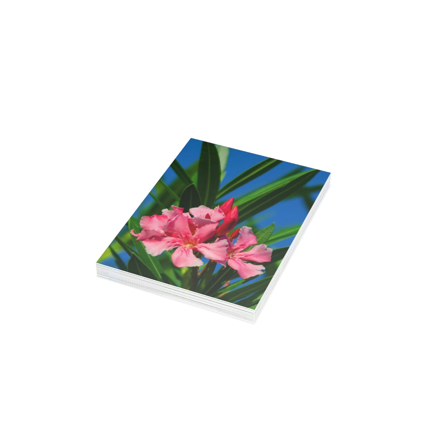 Flowers 30 Greeting Cards (1, 10, 30, and 50pcs)
