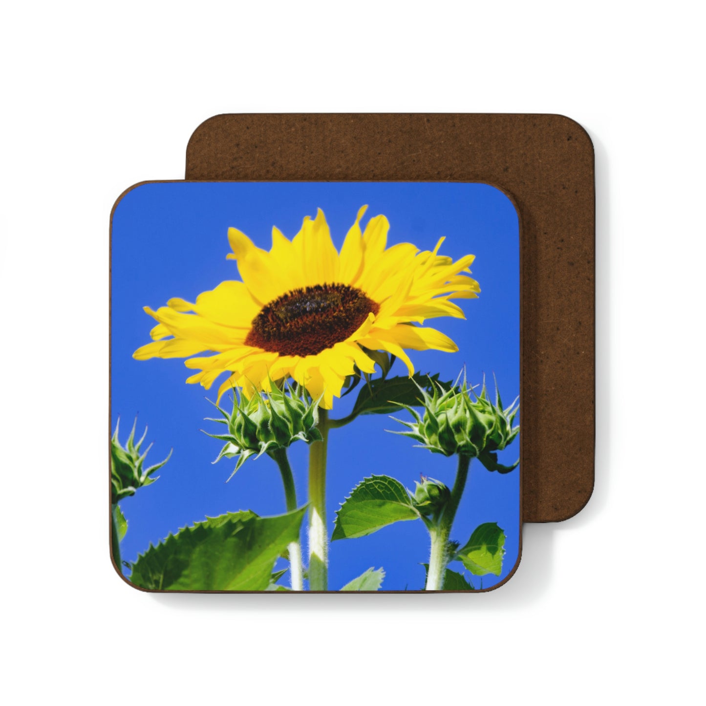 Flowers 02 Hardboard Back Coaster
