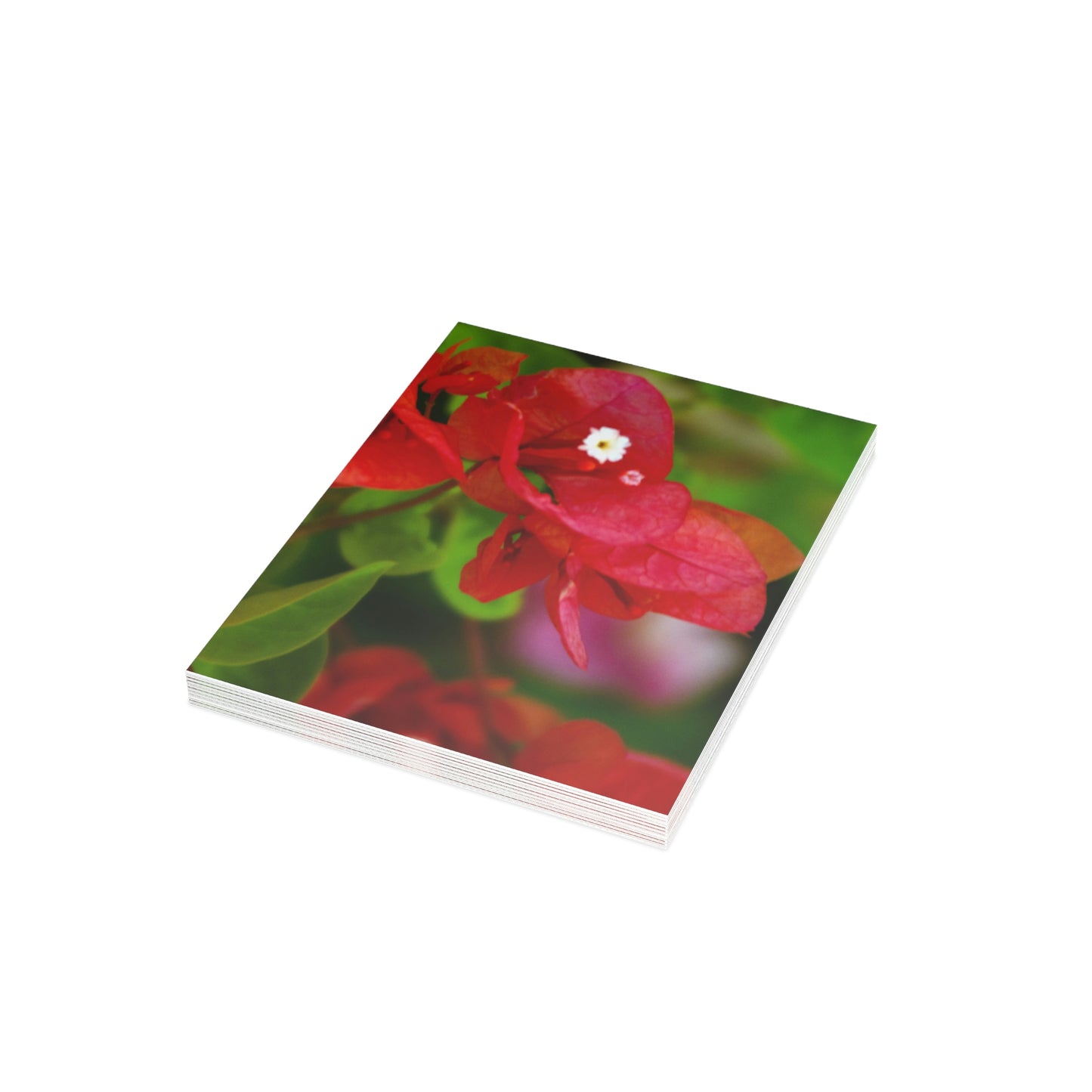 Flowers 28 Greeting Cards (1, 10, 30, and 50pcs)