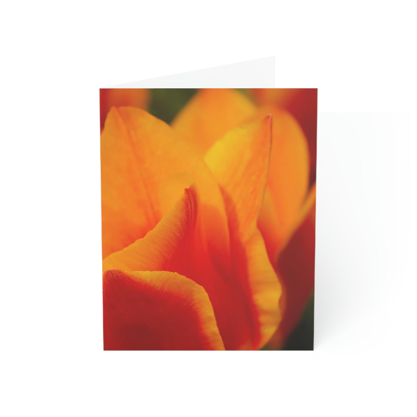 Flowers 15 Greeting Cards (1, 10, 30, and 50pcs)