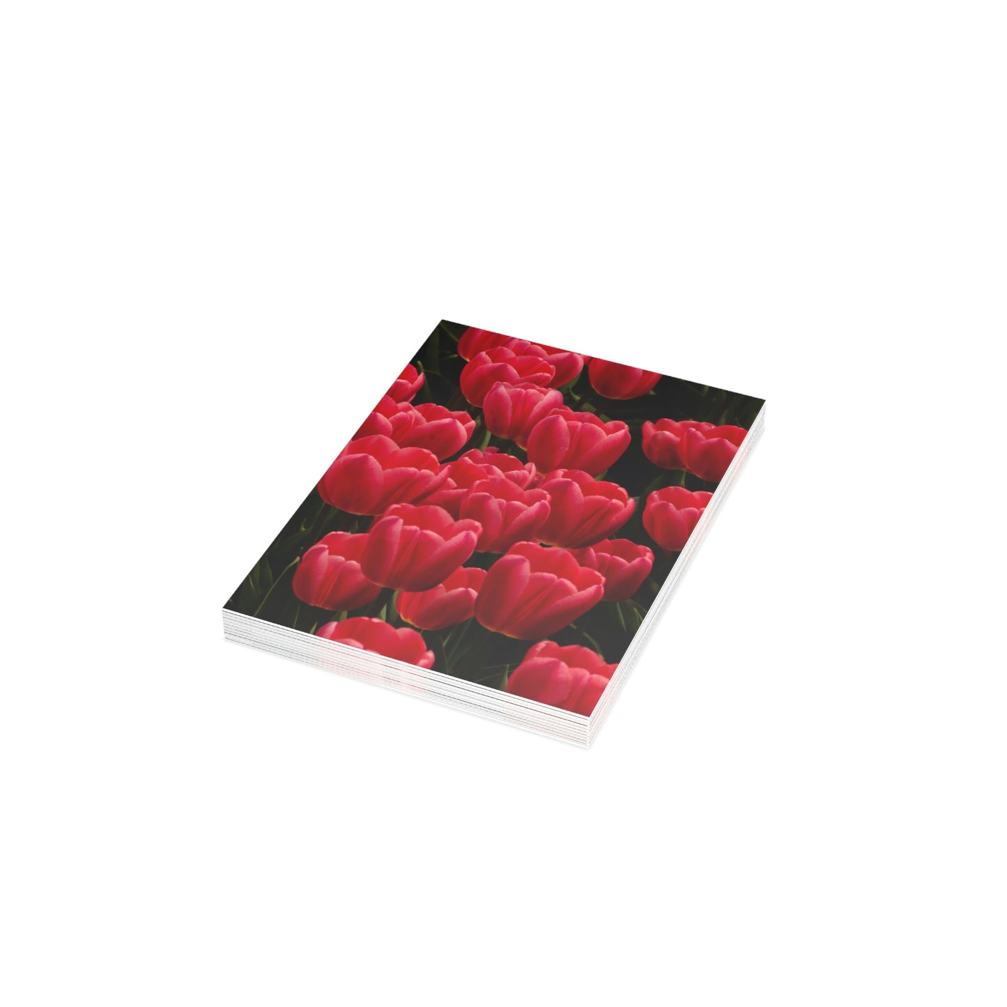 Flowers 24 Greeting Cards (1, 10, 30, and 50pcs)