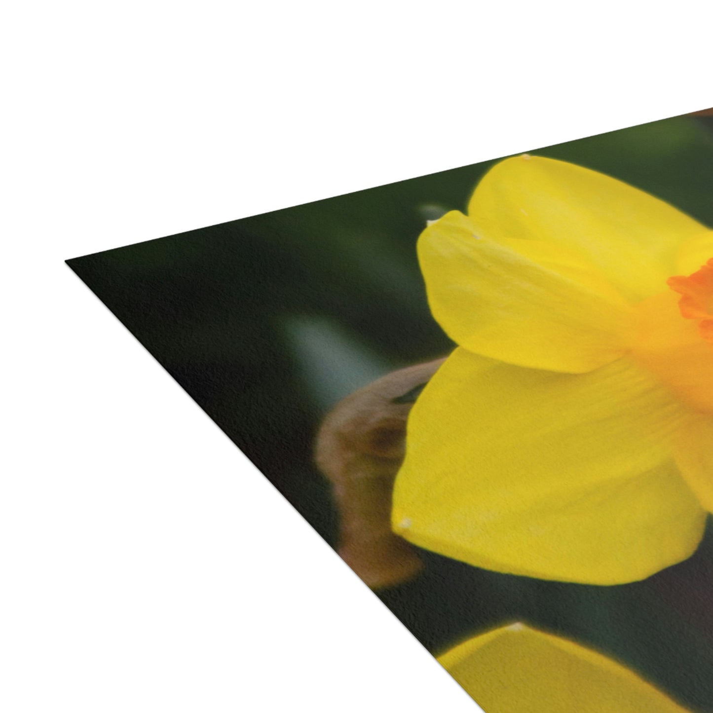 Flowers 08 Greeting Cards (1, 10, 30, and 50pcs)