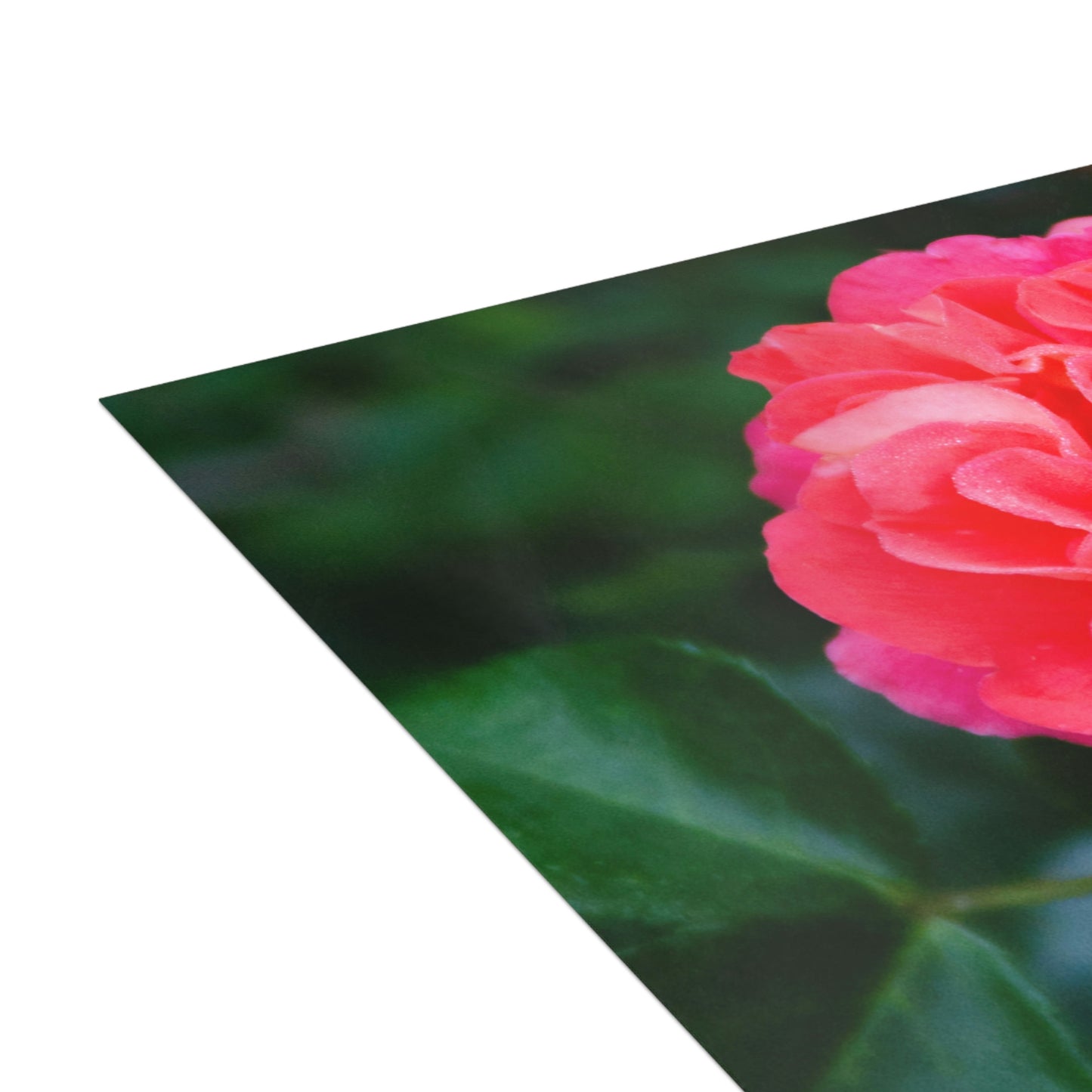 Flowers 06 Greeting Cards (1, 10, 30, and 50pcs)