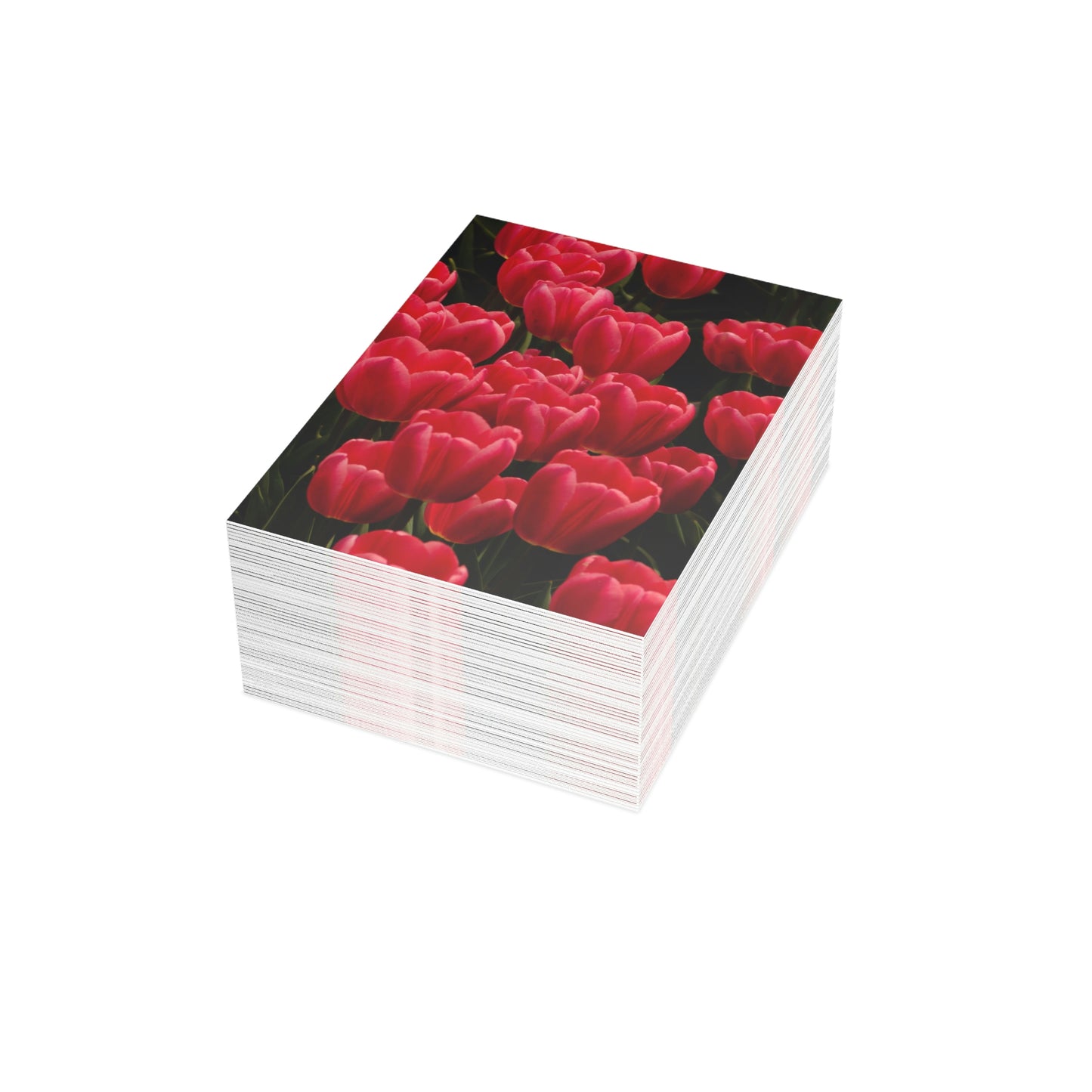 Flowers 24 Greeting Cards (1, 10, 30, and 50pcs)