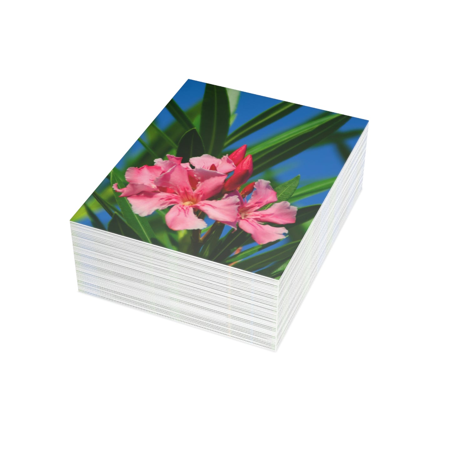 Flowers 30 Greeting Cards (1, 10, 30, and 50pcs)