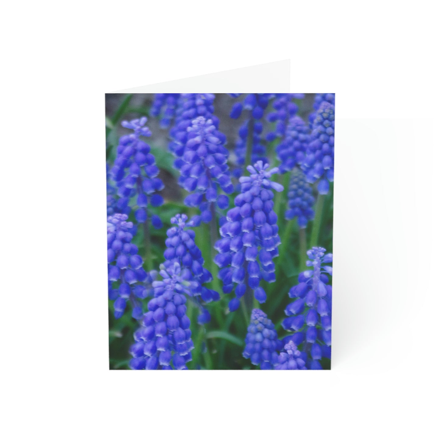 Flowers 10 Greeting Cards (1, 10, 30, and 50pcs)