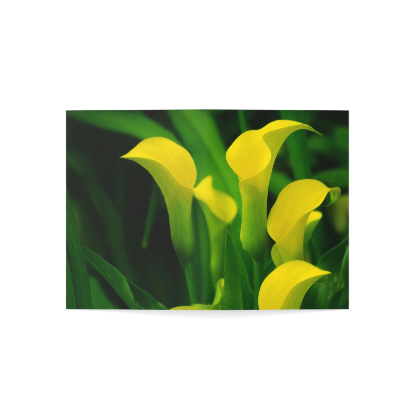 Flowers 33 Greeting Cards (1, 10, 30, and 50pcs)