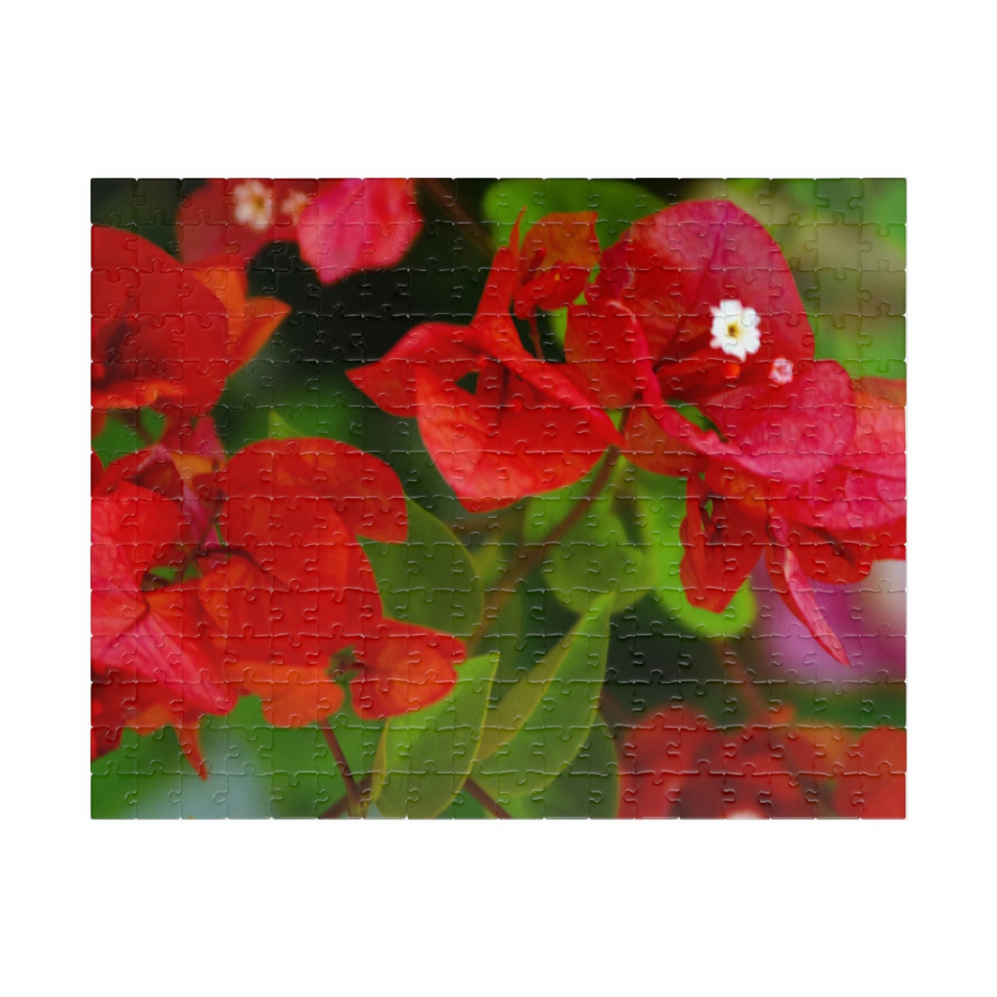 Flowers 26 Puzzle (110, 252, 500, 1014-piece)