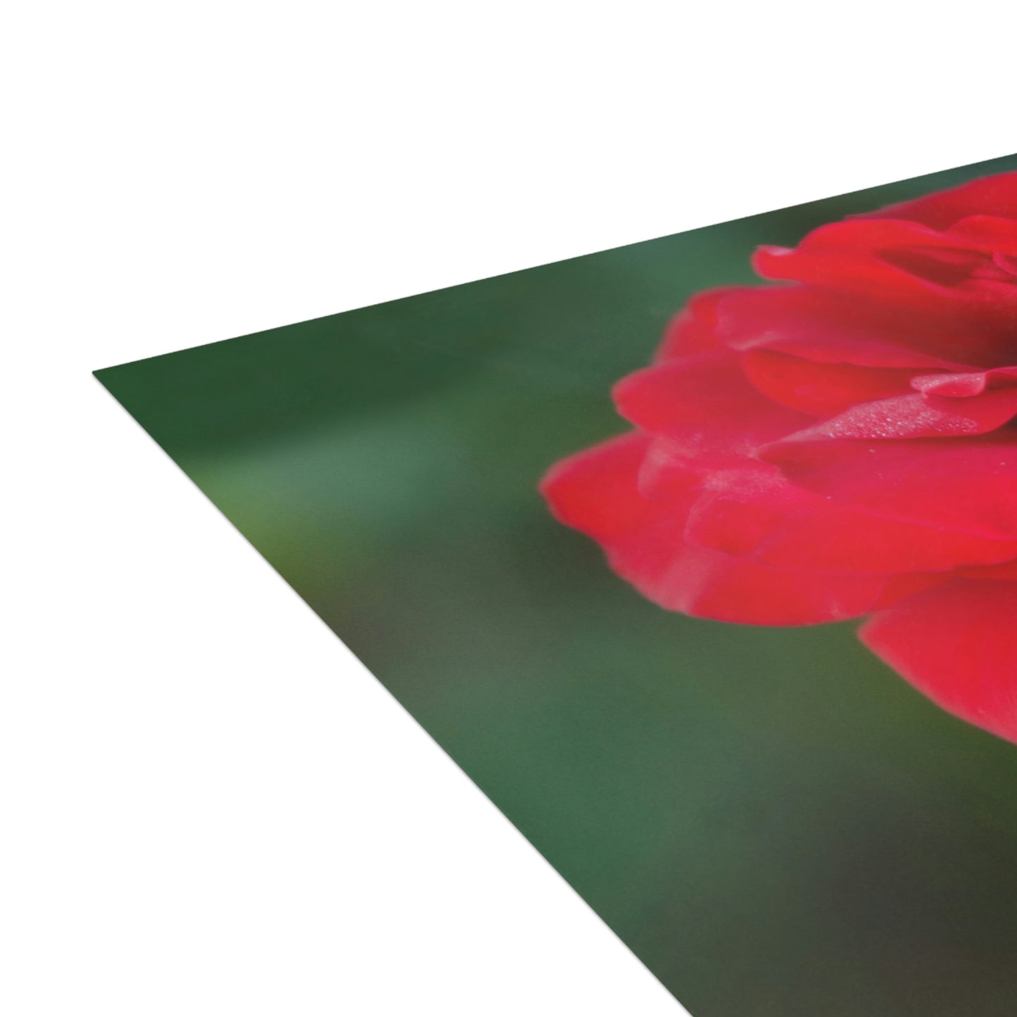 Flowers 13 Greeting Cards (1, 10, 30, and 50pcs)