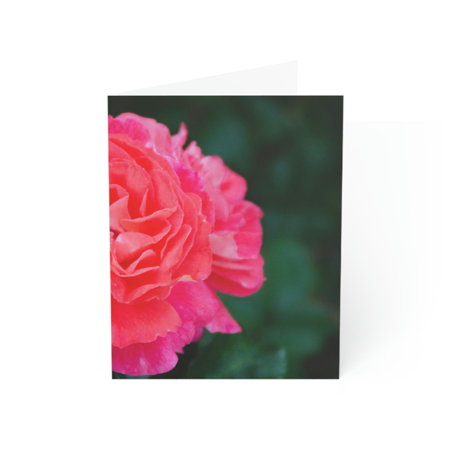 Flowers 06 Greeting Cards (1, 10, 30, and 50pcs)