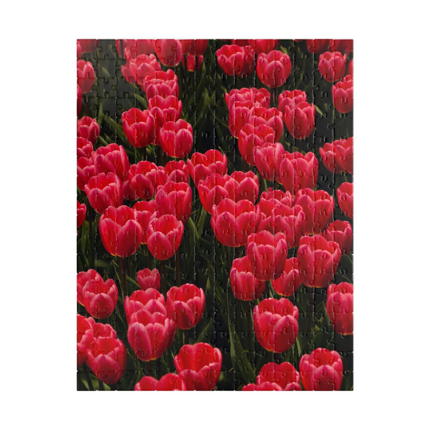 Flowers 24 Puzzle (110, 252, 500, 1014-piece)